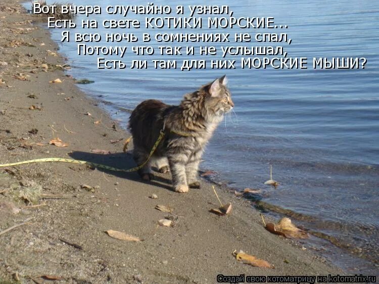 источник Яндекс-картинки