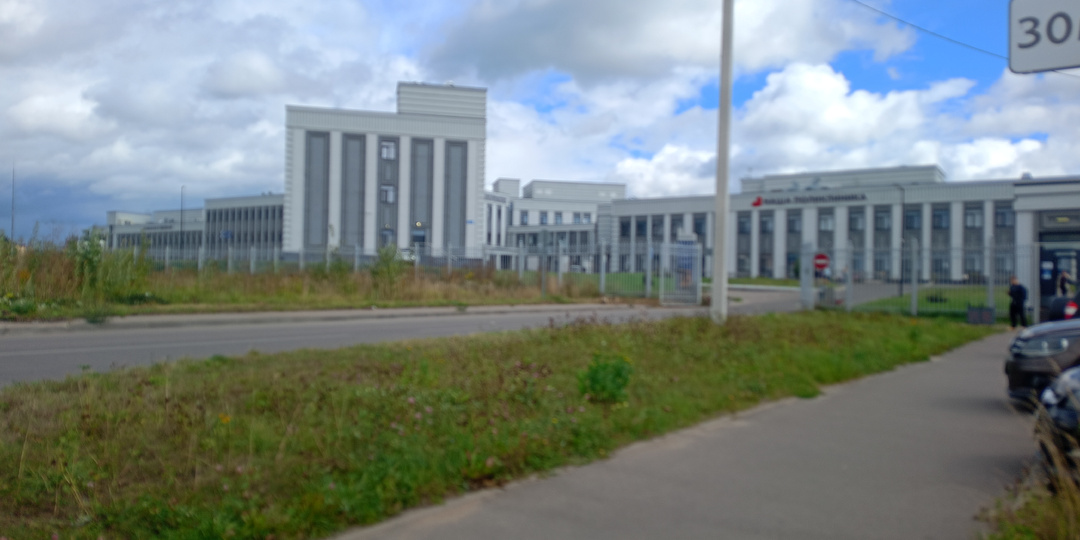Дневниковые записи. Я снова дома...