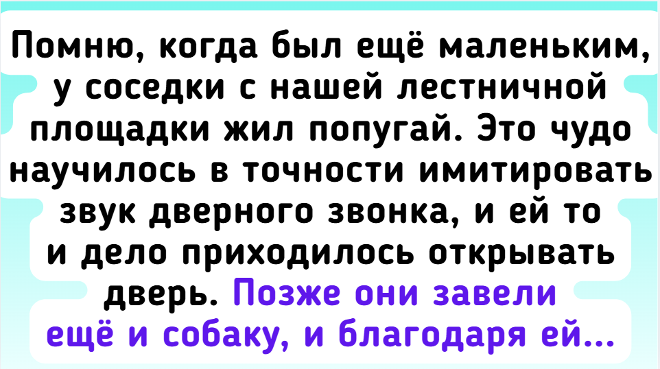 9 питомцев, чья смекалка заслуживает аплодисментов