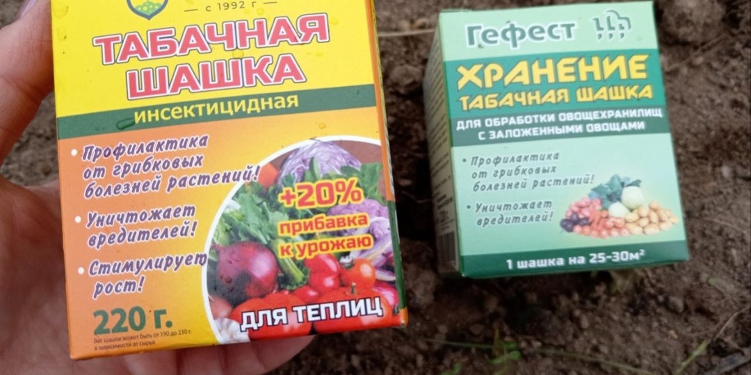 Как я готовлю погреб к зиме. Чтобы урожай лежал и не гнил