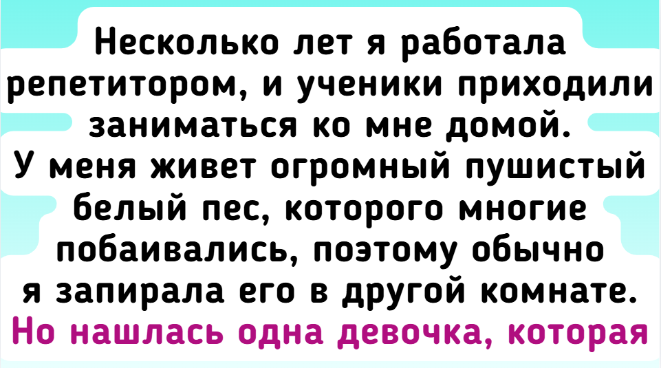 8 случаев из практики репетиторов, где нашёлся повод для улыбки