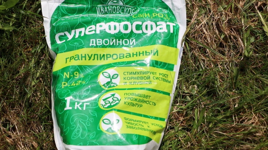 Золу и минеральное удобрение вношу отдельно, уже после перекопки