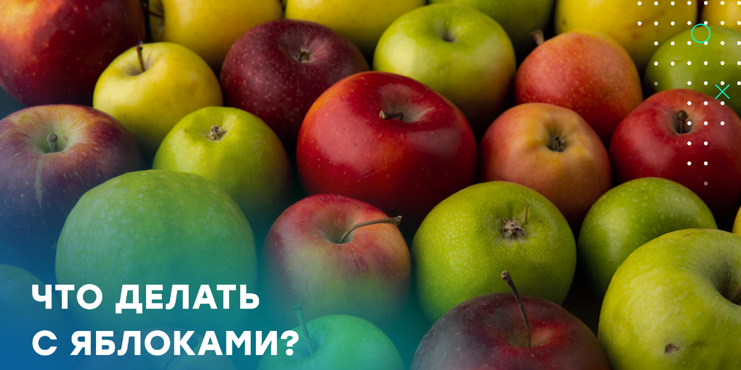 Яблочный коллапс. Что делать с большим урожаем яблок?