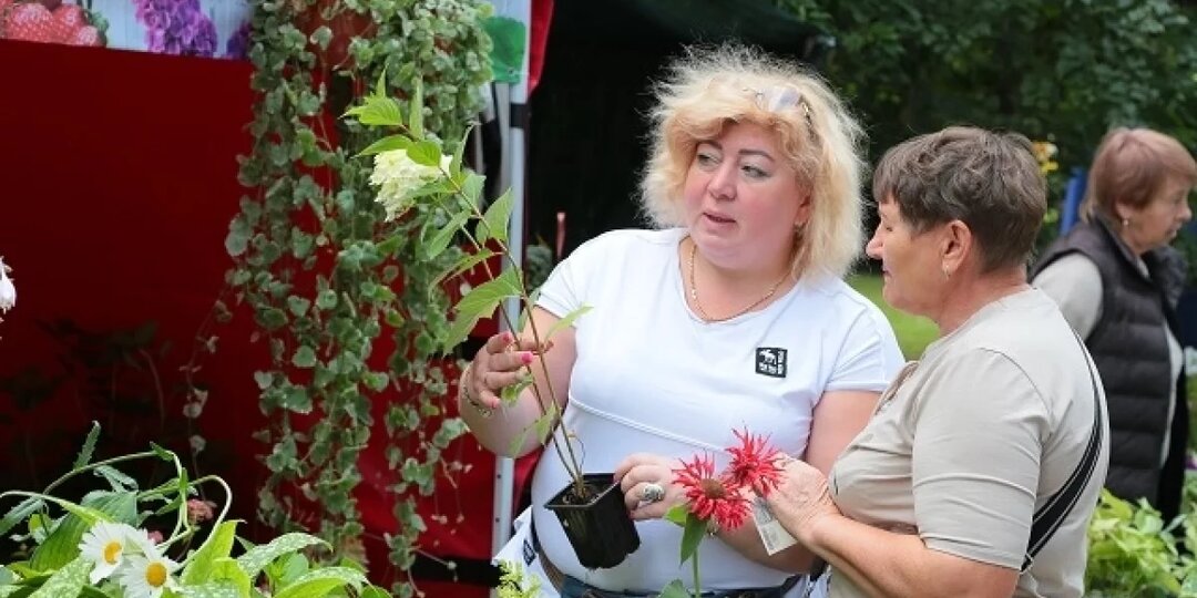 Омичка попросила организаторов «АгроОмска» не раздавать бесплатную еду