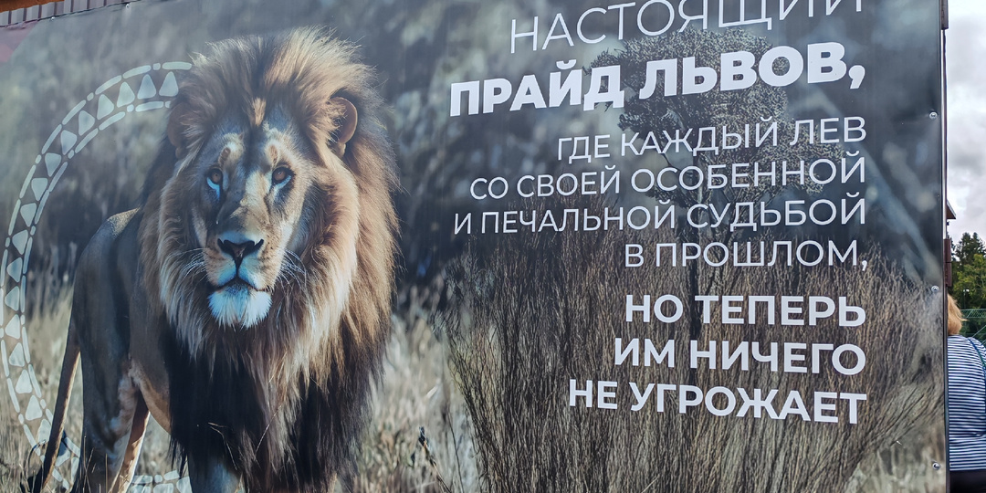 Когда нет предела человеческому милосердию.