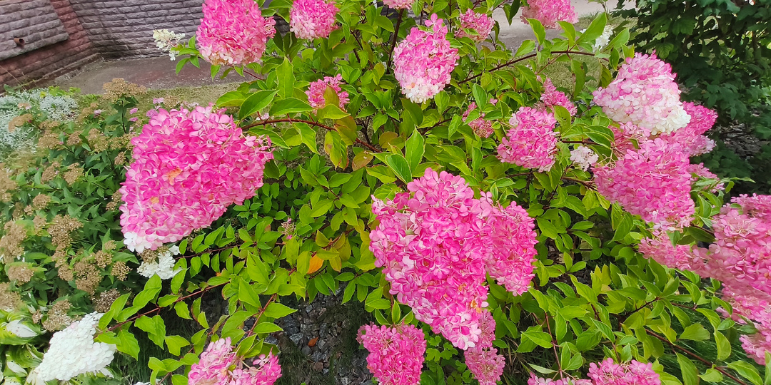 Не лёгкая жизнь моя