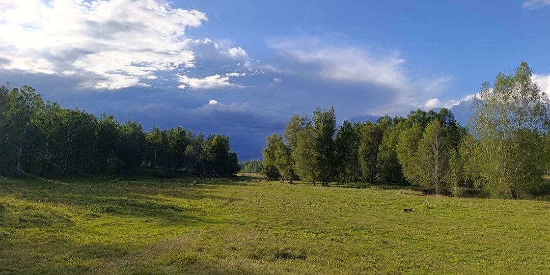 Не люблю неопределённости