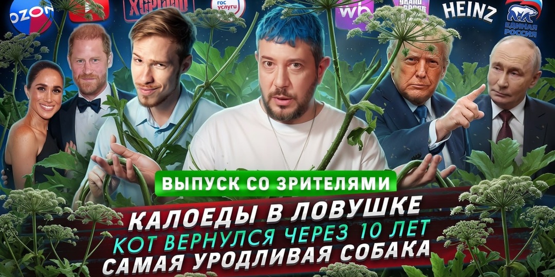 № 752 Калоеды в ловушке / Кот вернулся через 10 лет / Самая уродливая собака