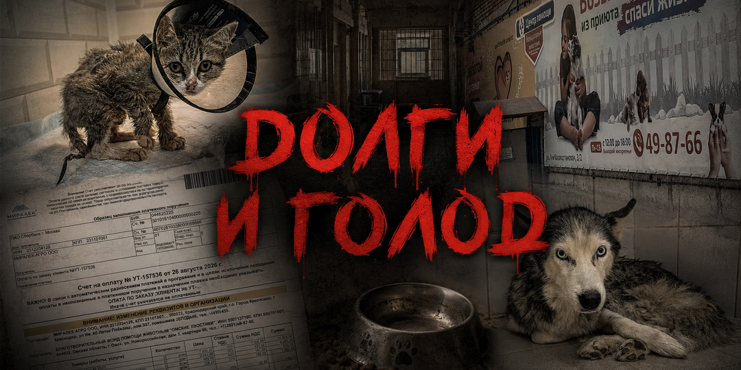 День знаний для нас ЗАКРЫТИЕ ПРИЮТА!