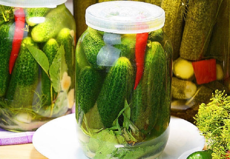 Квашеные бочковые огурцы в банках под капроновой крышкой: вкус из детства