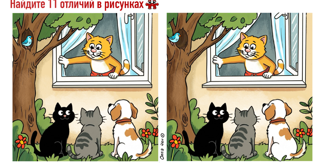 11 отличий и анаграммы на добрых картинках для тренировки внимания. Тесты-задачки от Кеши