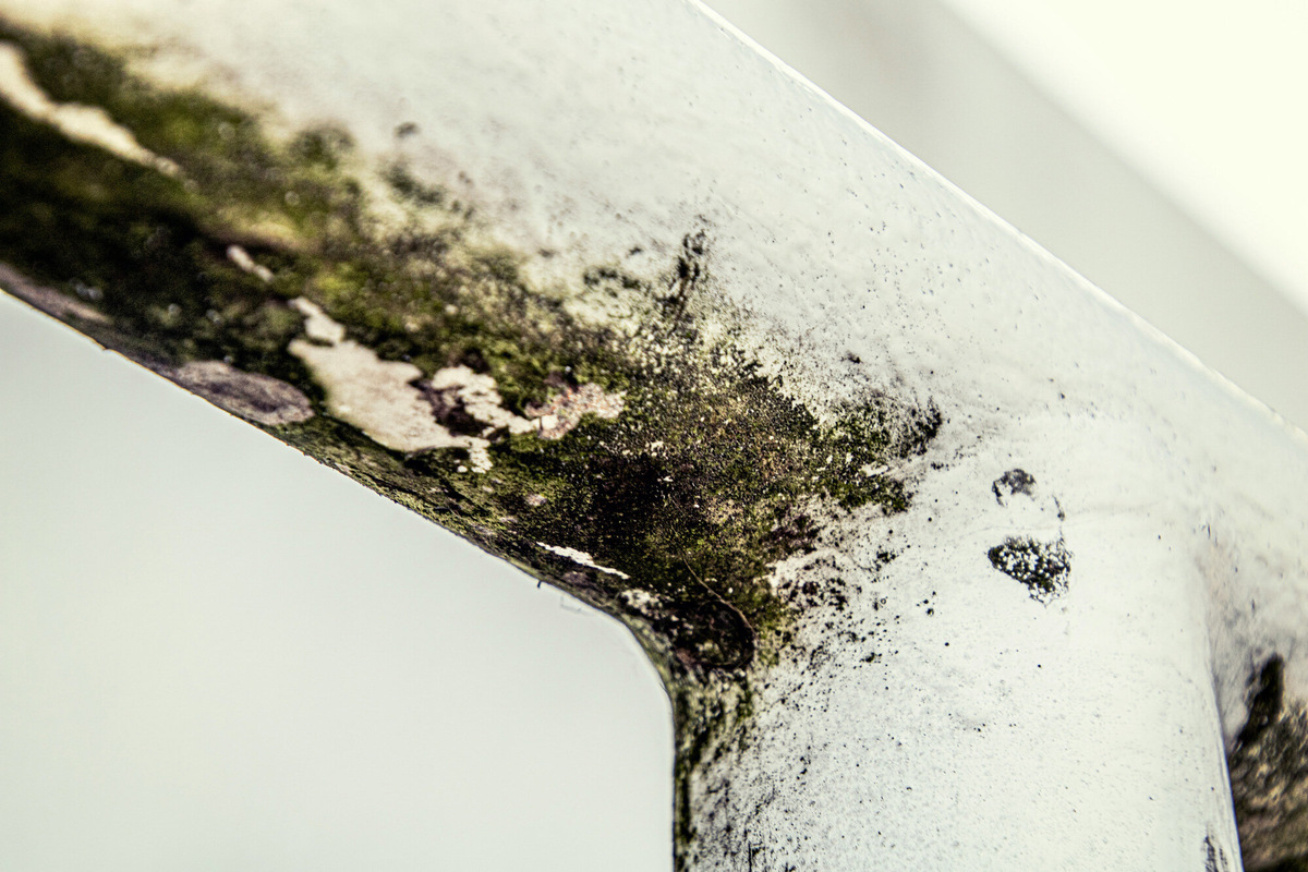 Фото на обложке: michael schaffler / Unsplash