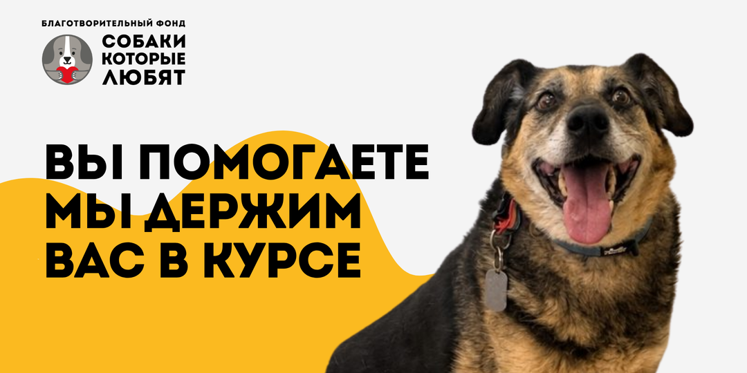Поддержали хвостика - узнаете, как он поживает 🐾