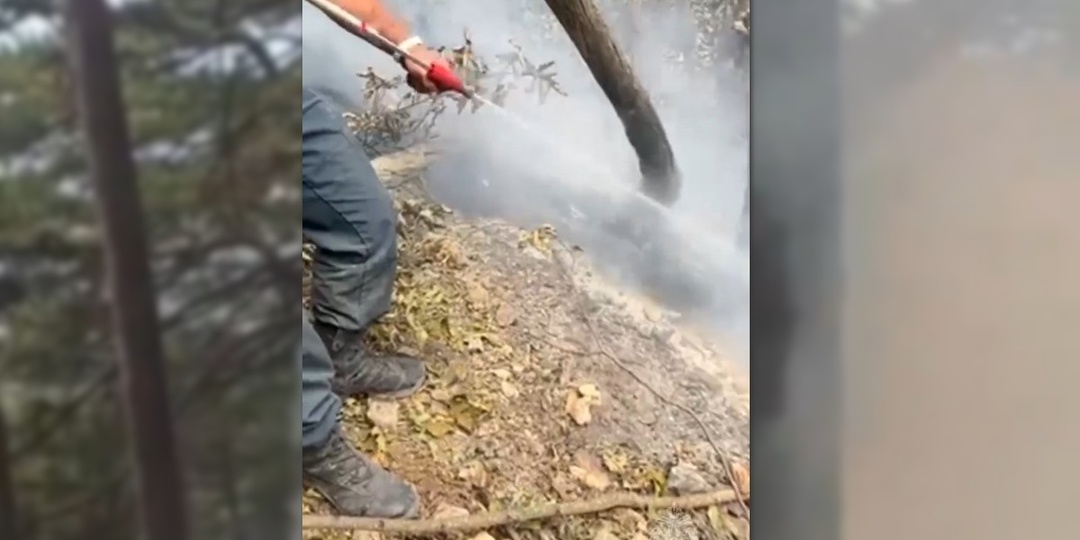 Тушение лесного пожара под Ялтой продолжается на трех участках