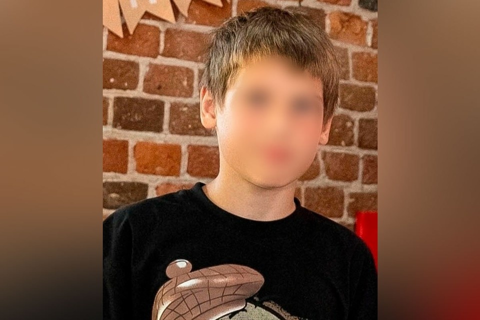    Подмосковные следователи выясняют детали жуткого убийства 12-летнего школьника в деревне Кабаново социальные сети