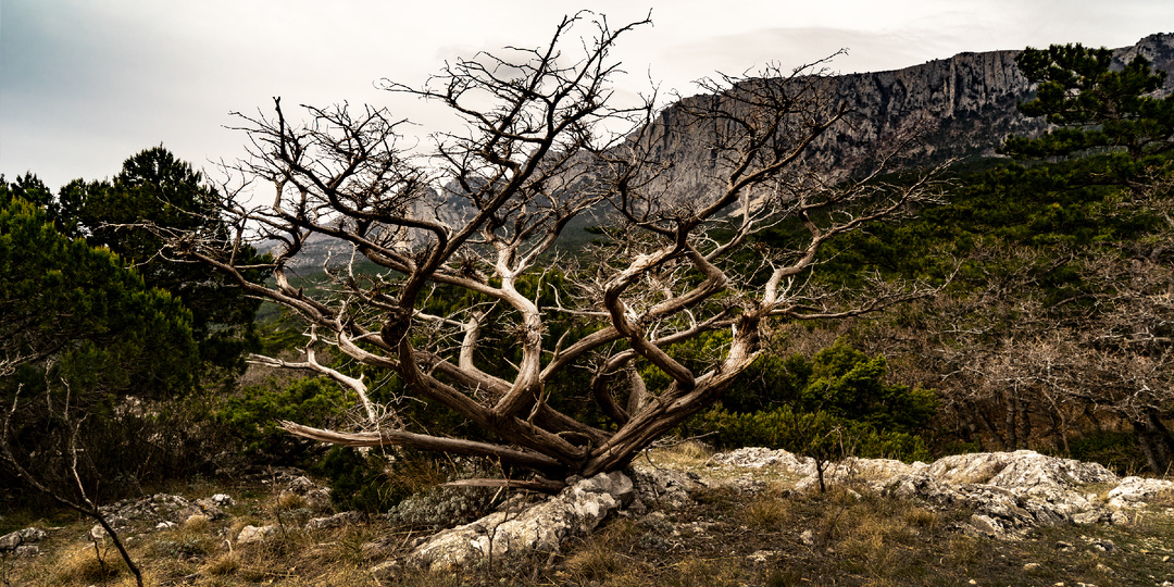 Крым. В поисках древних крепостей. Алупка-Исар – взгляд фотографа