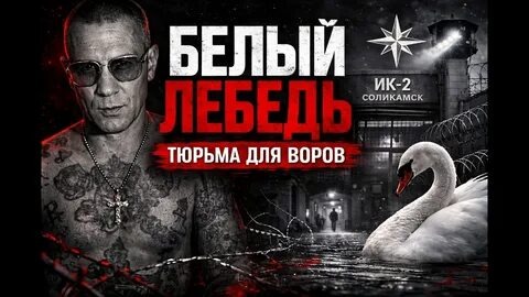 Несломленные: 4 легенды «Белого лебедя»