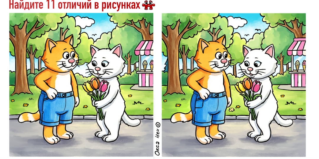 11 отличий и анаграммы на картинках про котика. Зарядка для мозга от Кеши.