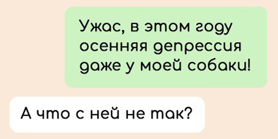 9 смешных переписок про осеннюю депрессию