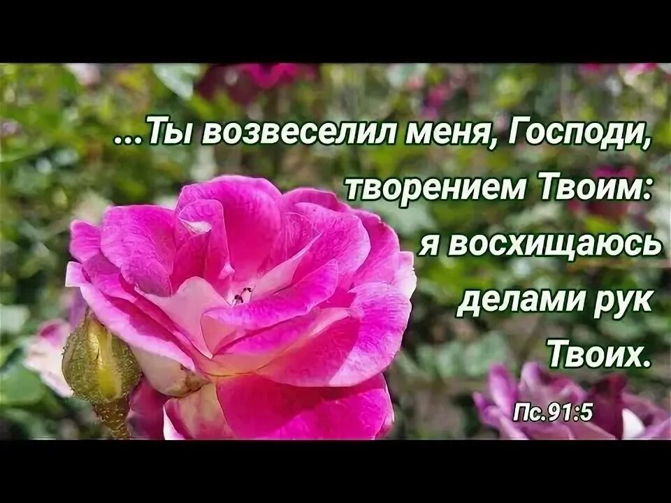 Из открытого источника Яндекса.