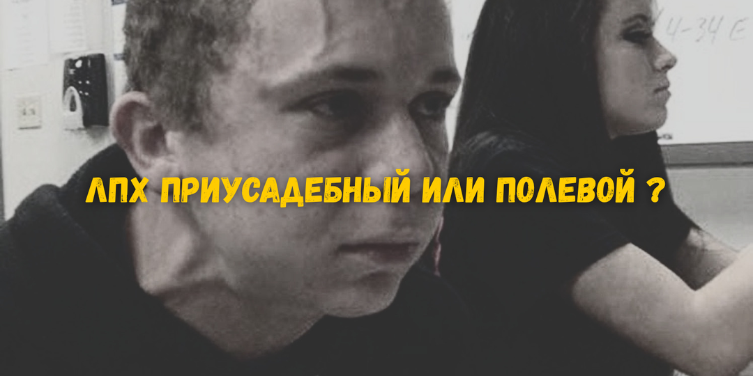 ЛПХ приусадебный или полевой - разница в одном слове, а последствия на всю жизнь