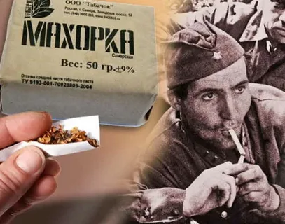 Что такое настоящая махорка и почему в СССР её предпочитали папиросам