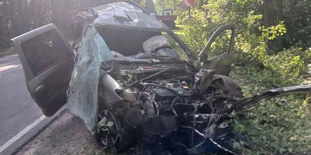 Два человека погибли в ночном ДТП на воронежской трассе