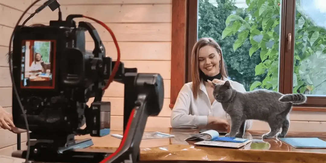 Как понять, какие темы сейчас растут в вашей нише