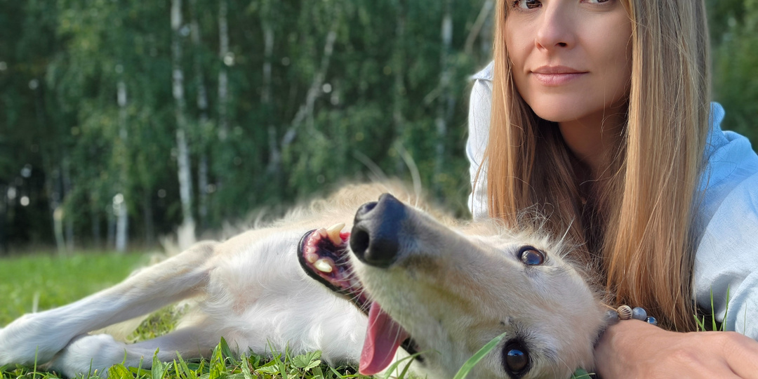 Мой новый год: 40 спасенных собак на диванах и даже 4 котика🤣