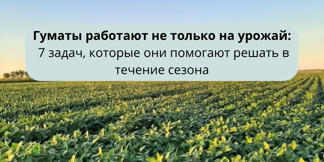 Гуматы работают не только на урожай: 7 задач, которые они помогают решать в течение сезона