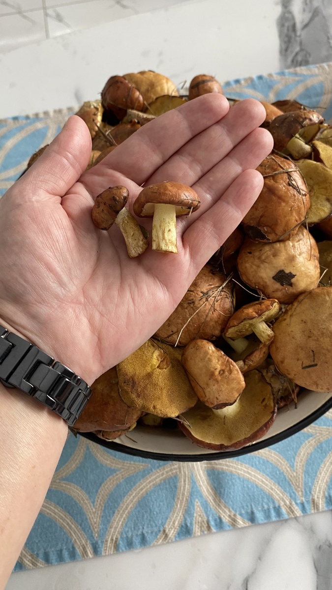 Грибочки