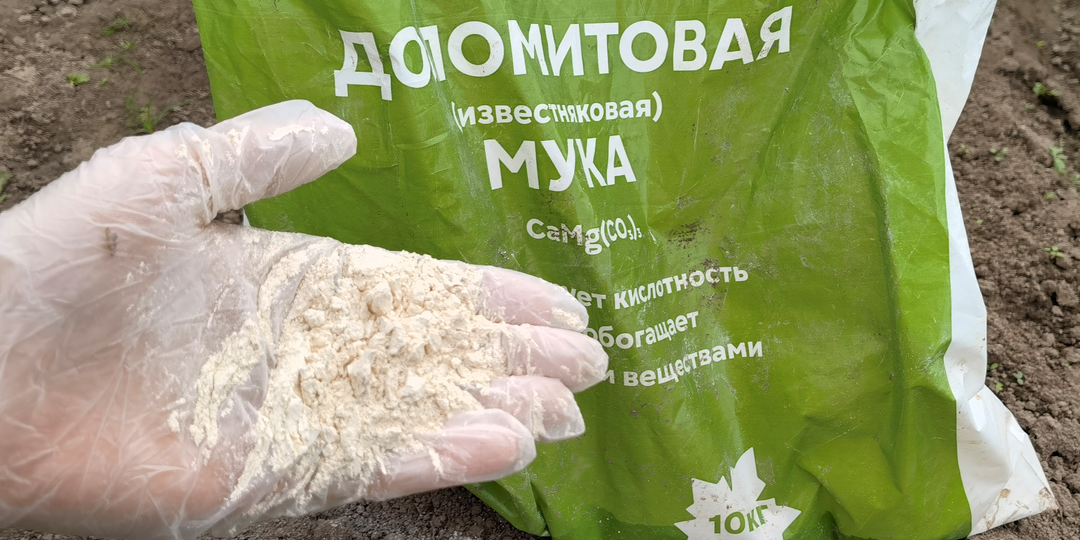 Доломитовая мука для сада и огорода: как правильно вносить осенью в почву, чтобы не навредить