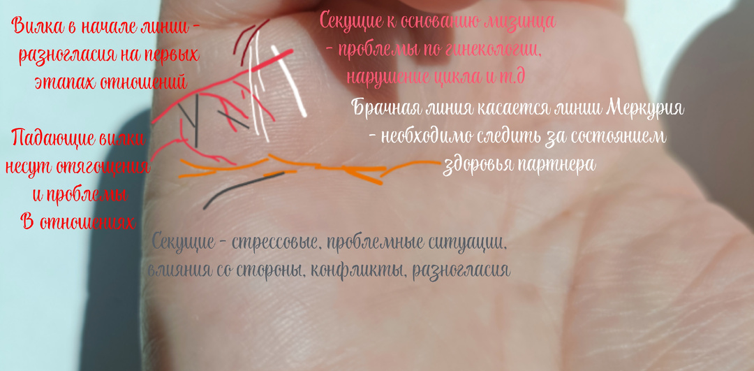 Много линий брака на руке - значит, много мужей? Рубрика вопрос - ответ.