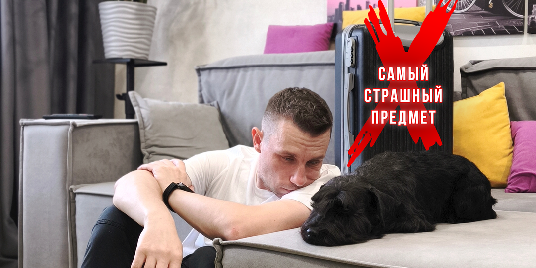 Собака считает ЭТО самым страшным и проклятым предметом в доме. 🤫❌