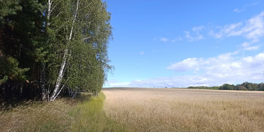 Разговор на огородно-бытовую тему