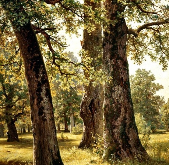 Как на фотографии: почему Шишкин любил рисовать могучие дубы?