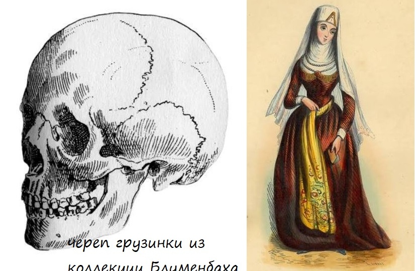История «кавказской расы»