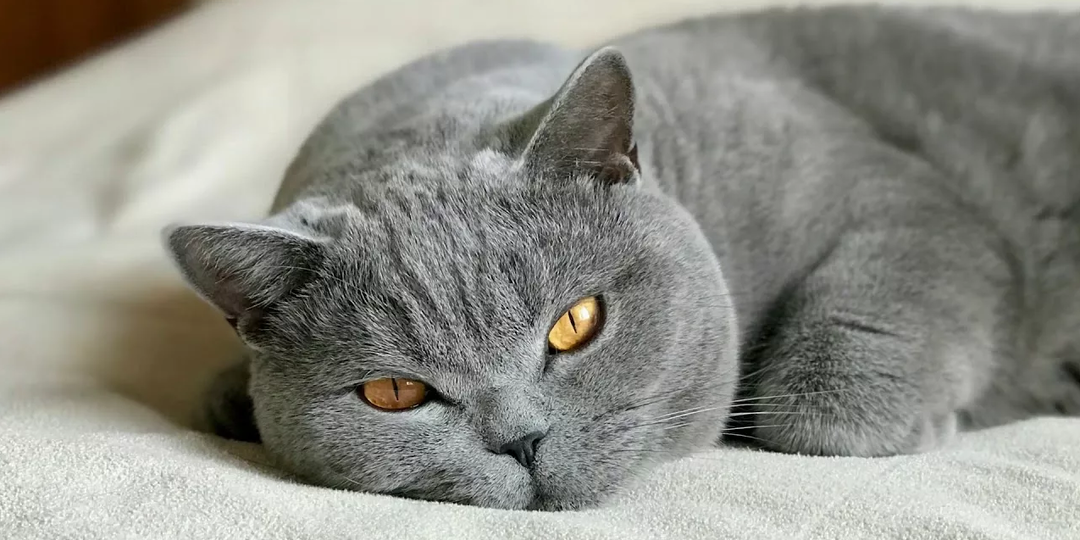 Сложные отношения