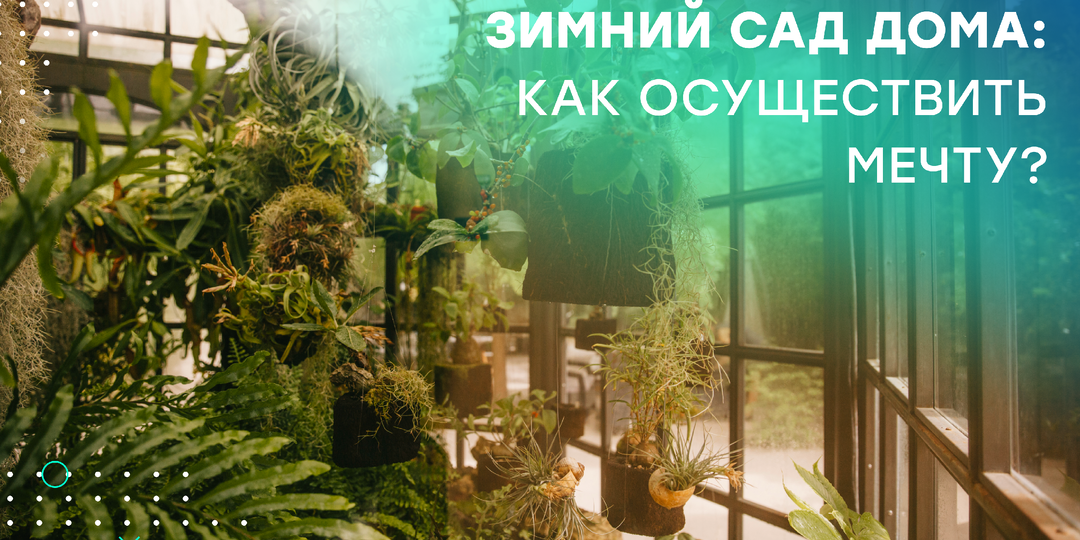 Строим зимний сад в загородном доме