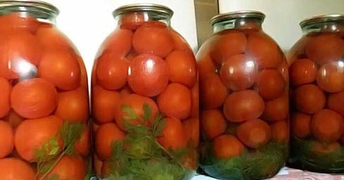 "Муж до икоты любит мои помидоры": лакомство вкуса неземного. Рецепт помидоров на зиму за 40 минут