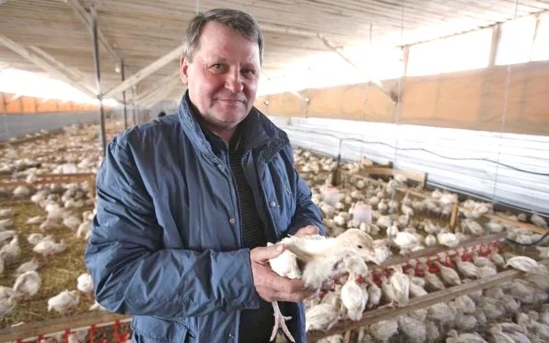 Индейка стала востребованным продуктом