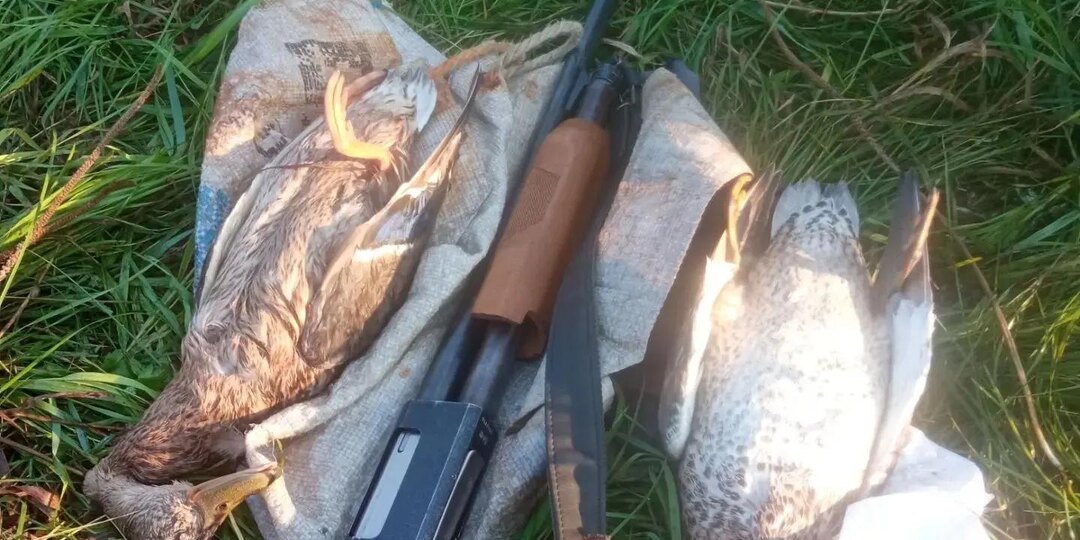 Доброго времени суток, уважаемые подписчики и читатели канала «Азбука охотника»!