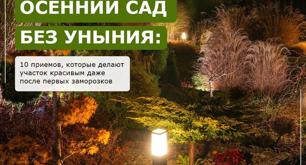 Чтобы ваш участок выглядел достойно даже в ноябре, нужно сменить оптику: перестать гоняться за цветением и начать ценить форму, фактуру и
