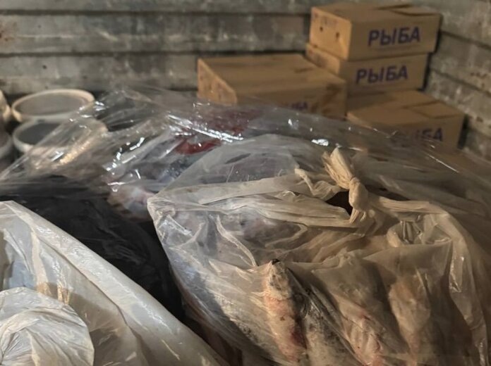 В павильоне на рынке Перми изъяли более 30 килограмм потенциально опасной рыбы