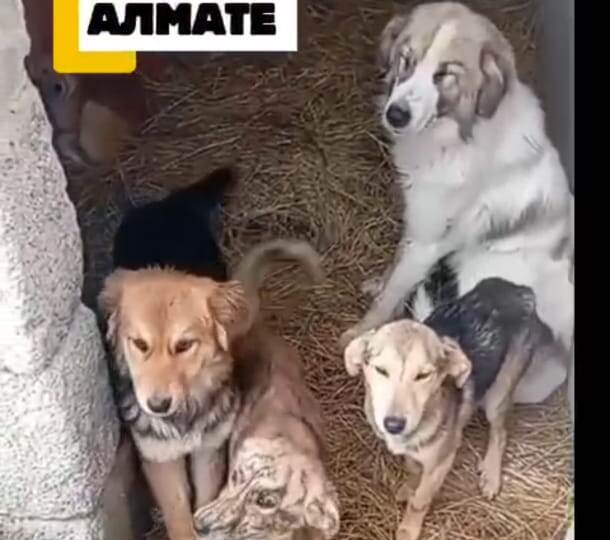 Граф устал ждать😩
