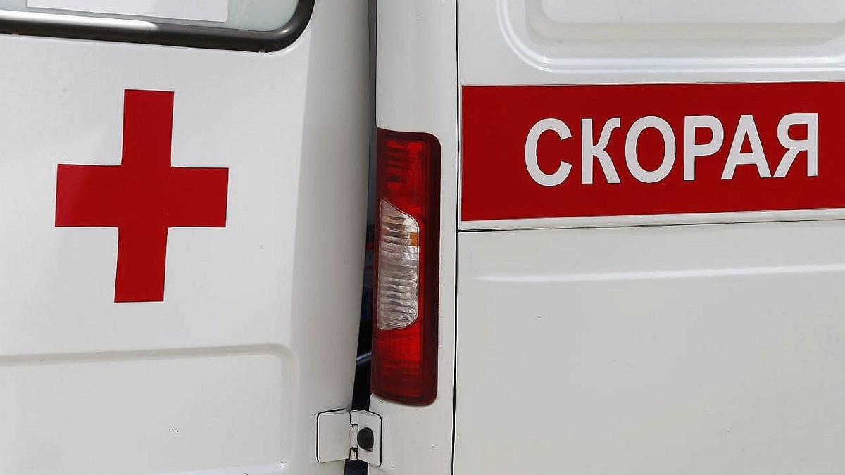    Фото: телеканал «Краснодар»
