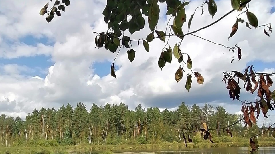 Доброе утро