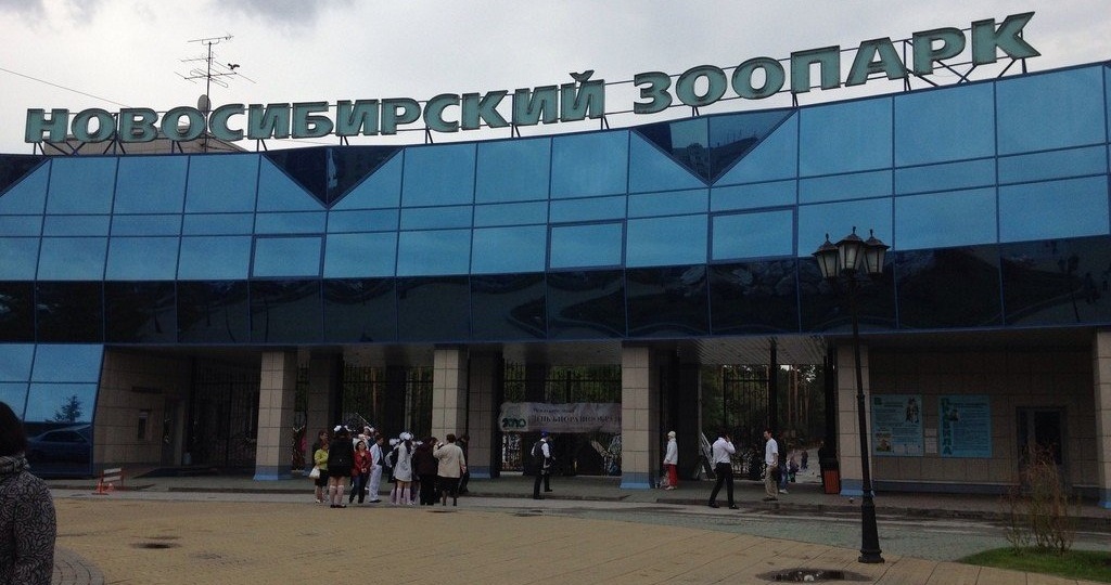 В Новосибирском зоопарке изменили режим работы кассы в выходные и запустили конкурс кормушек