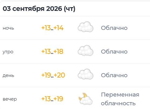 🌅С добрым утром, дорогие подписчики