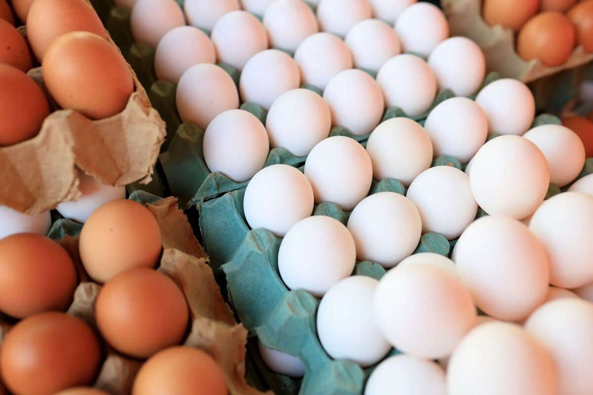    Полка супермаркета с продуктами с белковой маркировкой Руслан Титов
